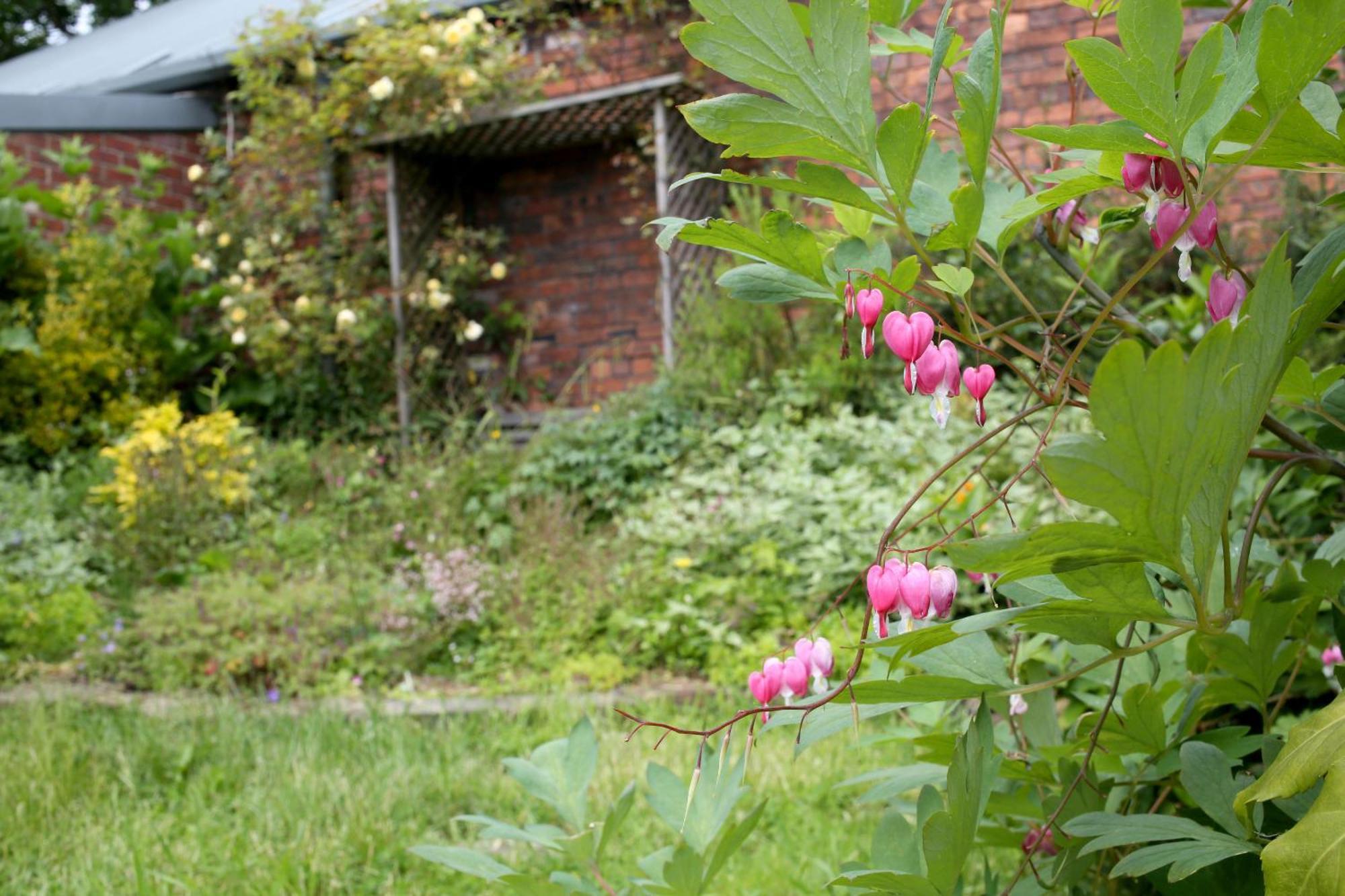 The Torrs Apartments New Mills 외부 사진